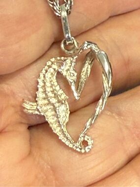 925 Sterling Seahorse Pendant on a 18” Sterling Rope Chain.